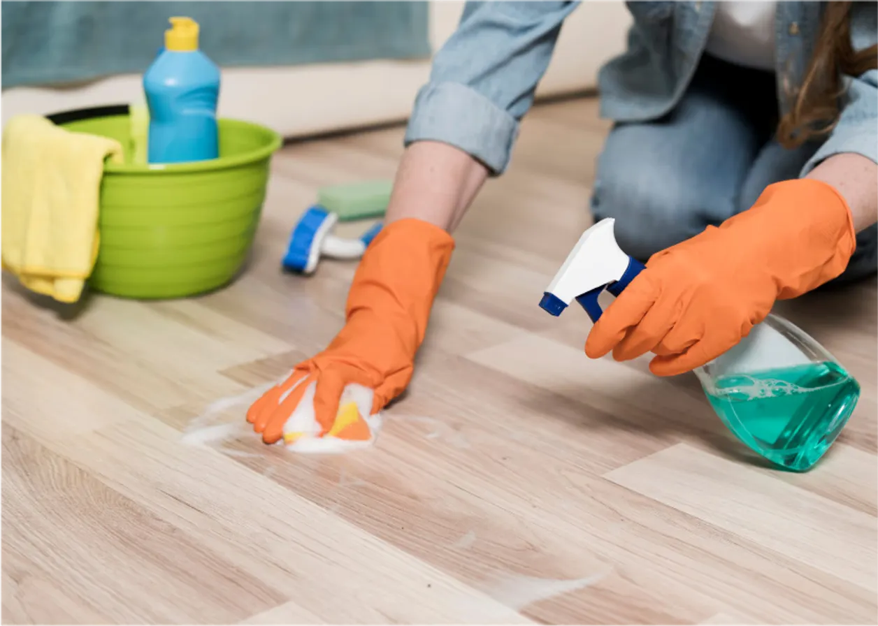House <br> Cleaning